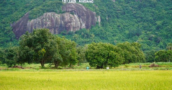 Vì sao một điểm ở An Giang trở thành điểm check-in của nhiều người trẻ?