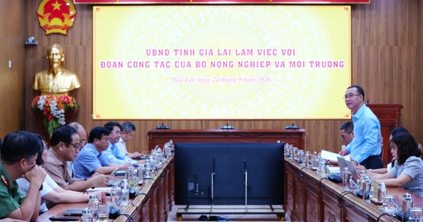 Bộ Nông nghiệp và Môi trường xác minh khiếu nại của 3 công dân tại Gia Lai