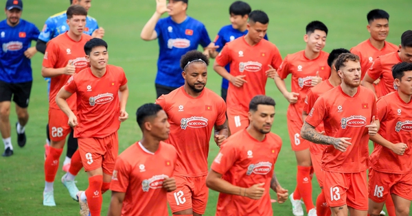 Cầu thủ nhập tịch tràn ngập tại FIFA ASEAN Cup: Đội tuyển Việt Nam vẫn ít nhất