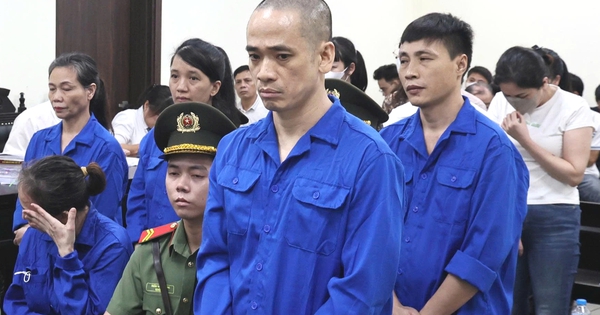 Lập 7 công ty, vận chuyển trái phép hơn 12.000 tỉ đồng sang Trung Quốc