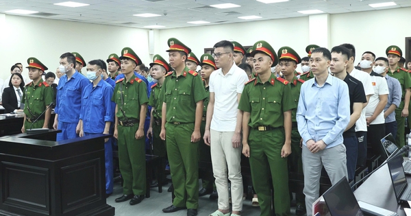 Cựu chi cục trưởng nhận hối lộ tiền tỉ từ 'ông trùm' sữa giả