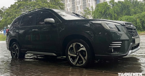 5 dấu hiệu cảnh báo tài xế không nên lái ô tô qua đoạn đường ngập nước
