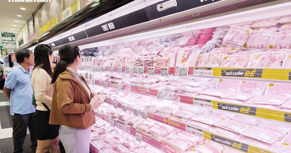 Giá heo hơi hôm nay 24.9.2026: Giảm ở miền Trung và miền Nam