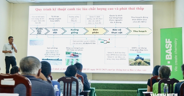 Nông dân Đồng Tháp thử cách làm lúa ít nước, không đốt rơm
