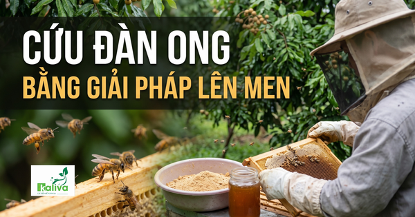Cùng sống xanh 167: Đi lan tỏa giải pháp IMO phát hiện cách chữa tiêu chảy cho ong