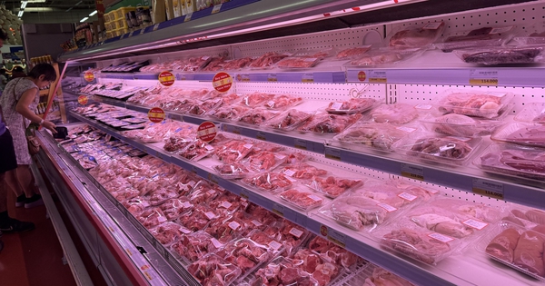 Giá heo hơi hôm nay 25.9.2026: Thị trường giảm nhanh