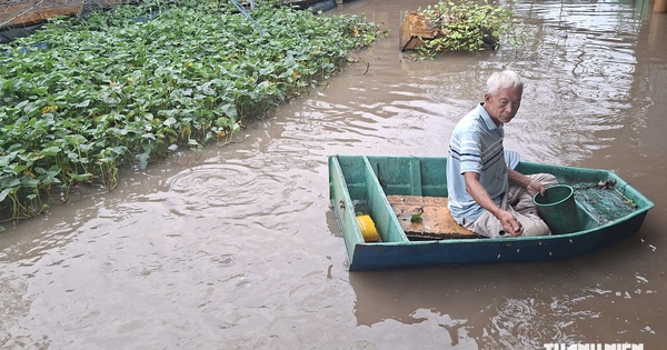 Người dựng chòi giữ đàn cá thiên nhiên ở Cần Thơ: 'Chỉ mong mọi người thương tôi'