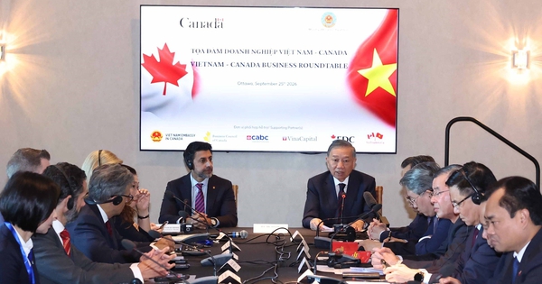 Cộng đồng doanh nghiệp Việt Nam - Canada tập trung vào các hướng hợp tác lớn