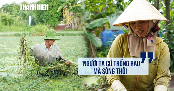 Sau 27 năm quy hoạch công viên, cuộc sống giữa những ruộng rau nhút ở Thới An giờ ra sao?