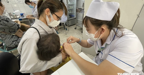 6 người tử vong vì bệnh dại, hơn 101.000 người bị chó mèo cào, cắn ở TP.HCM