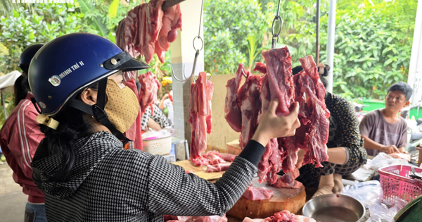 Giá heo hơi hôm nay 26.9.2026: Giảm đồng loạt