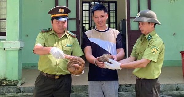 Thuyết phục người dân nhượng lại để giải cứu 2 con tê tê quý hiếm