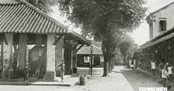Từ chuyện ông già Ba Tri lập chợ đến bí mật tên chợ của... các bà