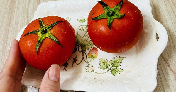 Vì sao chỉ nên ăn cà chua chín, không ăn cà chua xanh?