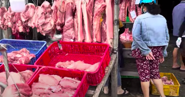 Giá heo hơi hôm nay 28.9.2026: Đà giảm chưa dứt