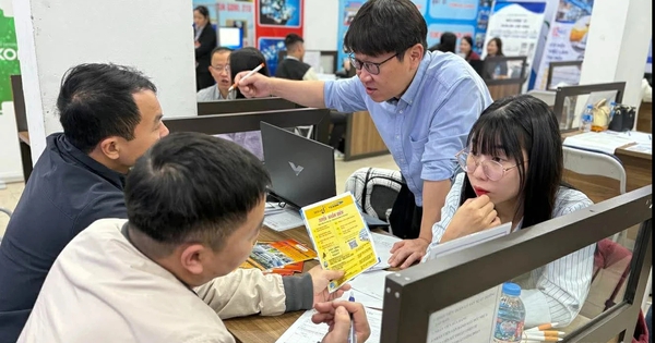 Tổ chức nước ngoài phải đăng tuyển lao động Việt Nam trên sàn việc làm quốc gia