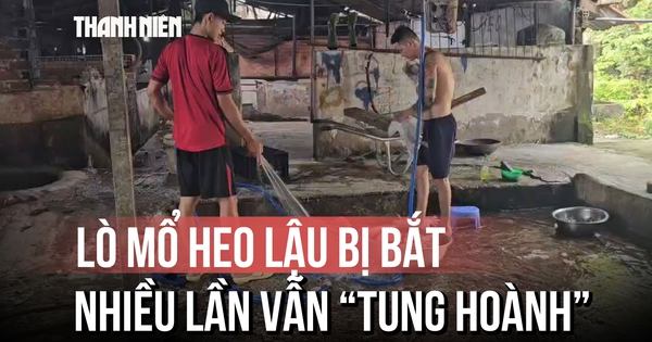 Lò mổ heo lậu sát khu công nghiệp: Bị bắt quả tang, ký cam kết rồi vẫn ngang nhiên hoạt động?