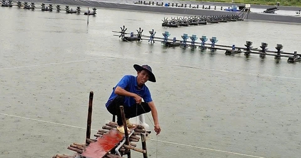 Kết hợp 4 vật nuôi trên 1 ha đất, thu lãi gần 400 triệu đồng/năm