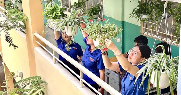 Năm học mới, việc học và sinh hoạt ở trường sáp nhập có bị thay đổi?