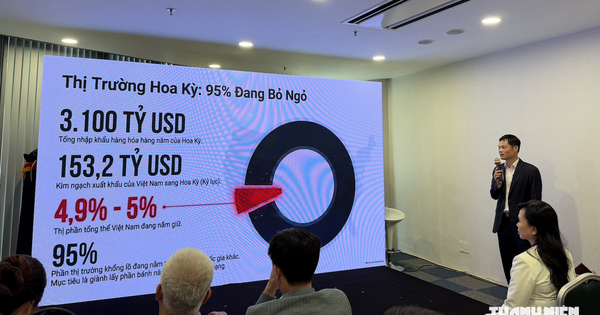 Đưa hàng Việt vào Mỹ, Trung Quốc qua sàn thương mại điện tử