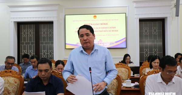 38 tổ công tác hành chính công ở TP.HCM ít hồ sơ, đại biểu nói 'không hiệu quả thì mạnh dạn bỏ'