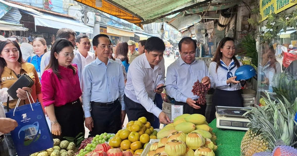Cà Mau đưa chuyển đổi số đến gần người dân
