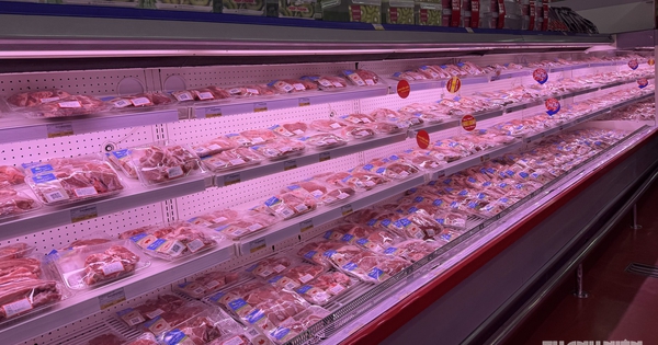 Giá heo hơi hôm nay 4.9.2026: Tăng nhẹ ở miền Bắc