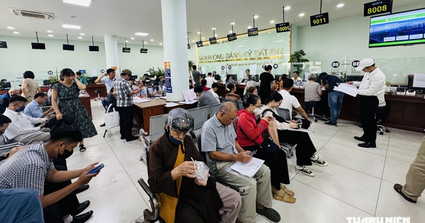 TP.HCM lên 'chiến dịch' hoàn thành dữ liệu đất đai