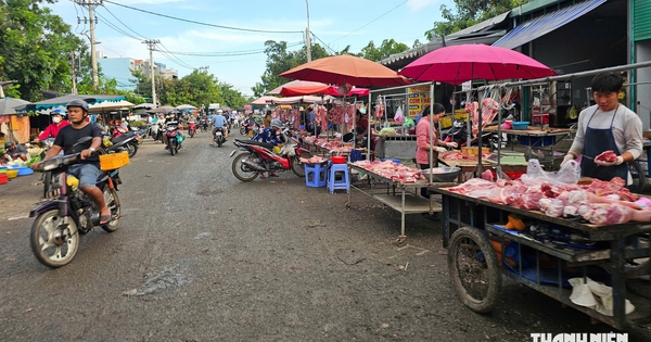 'Thị sát' chợ đầu mối ở TP.HCM: Hàng hóa bày bán giữa rác, nước thải