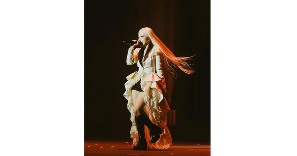 Concert Việt vào mùa
