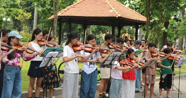 Giấc mơ vĩ cầm thành hiện thực