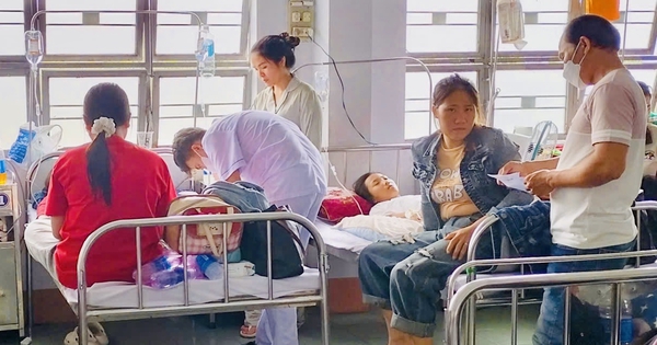Xác định nguyên nhân vụ 254 người ngộ độc sau ăn bánh mì ở Gia Lai