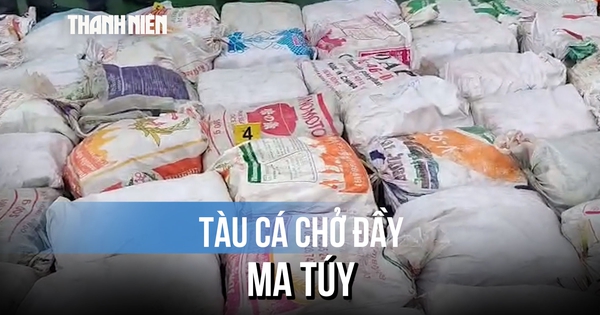 Bí mật dưới mạn tàu cá: Mang 1,2 tỉ đồng đi 'chạy' nhằm lấy lại hơn 1 tấn ma túy