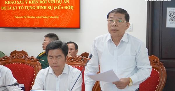 Nhận tội để hưởng khoan hồng, người cầm đầu có hưởng án nhẹ hơn người tiếp sức?