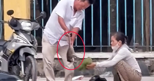 Hai người bắt khỉ con ở Tòa thánh Tây Ninh hóa ra thuộc đội bảo vệ khỉ