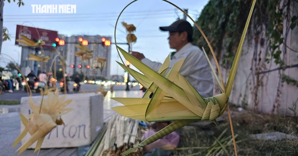 Gần 20 năm thắt lá dừa ở TP.HCM, mỗi ngày ông đều bắt đầu bằng một con cào cào