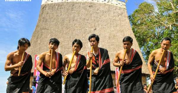 Đinh tút, thế giới khác của đại ngàn