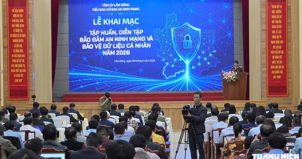 320 người ‘thực chiến’ xử lý sự cố an ninh mạng ở Lâm Đồng