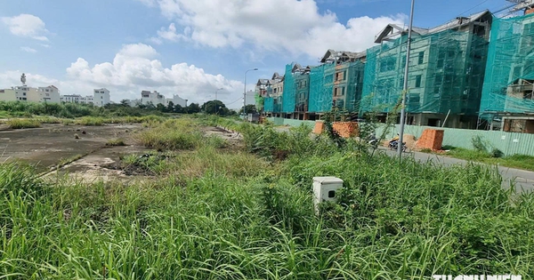 Tin tức đặc biệt trên báo in Thanh Niên 9.9.2026