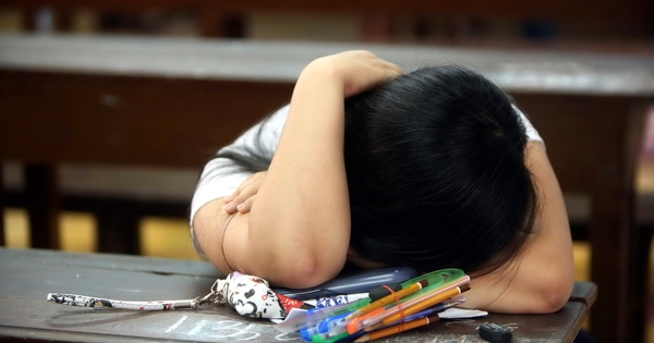 Gần 20% học sinh Việt nói bị bắt nạt 'vài lần mỗi tháng', cao hơn Hàn Quốc