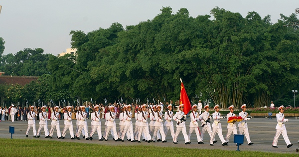 Tìm hiểu lơ thơ là gì và ý nghĩa của thuật ngữ này trong văn chương