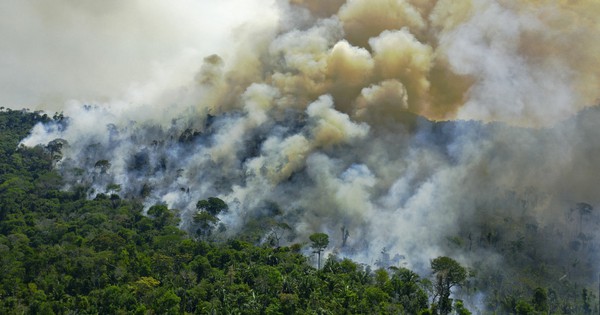 Lá phổi xanh Amazon đang thải nhiều CO2 hơn hấp thụ