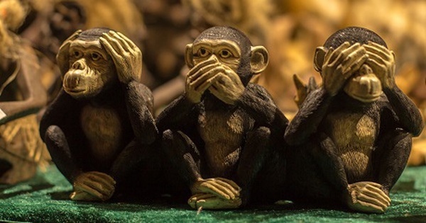 Ba con khỉ luôn mang đến cho chúng ta những giây phút thư giãn và tiếng cười. Hãy cùng xem bức ảnh này để tận hưởng những khoảnh khắc hài hước và đáng yêu của ba chú khỉ đáng yêu này nhé!