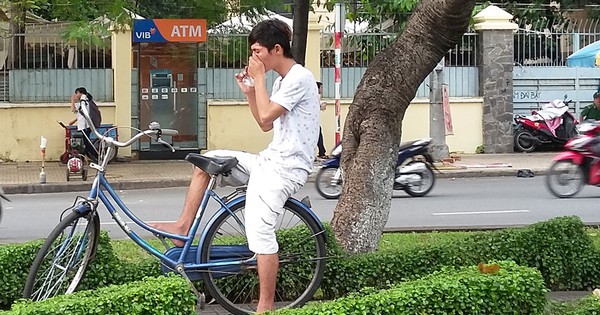 Keo chó có độc hại không?
