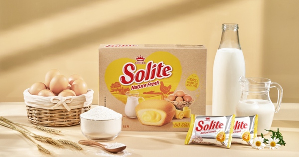 Giảm giá Bánh bông lan Solite Cake lá dứa/ sôcôla/ bơ sữa 360g - BeeCost