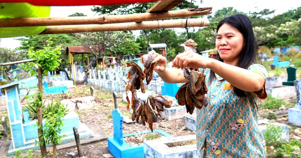 thanhnien.vn