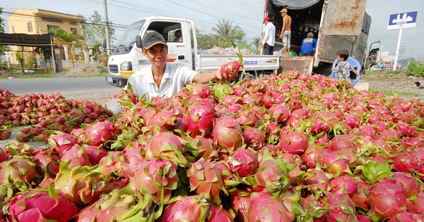 m.thanhnien.vn