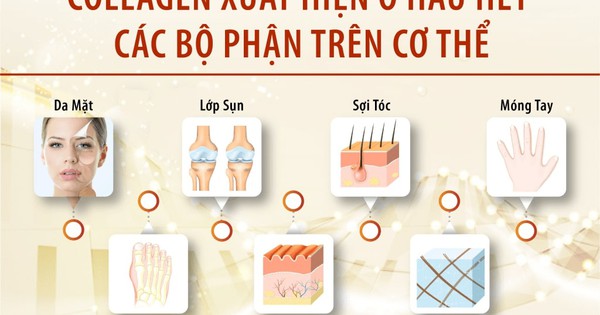 Cách sử dụng collagen chiết xuất từ da cá của Nhật hiệu quả nhất là gì?
