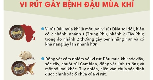 Bệnh đậu mùa khỉ có điều trị được không?
