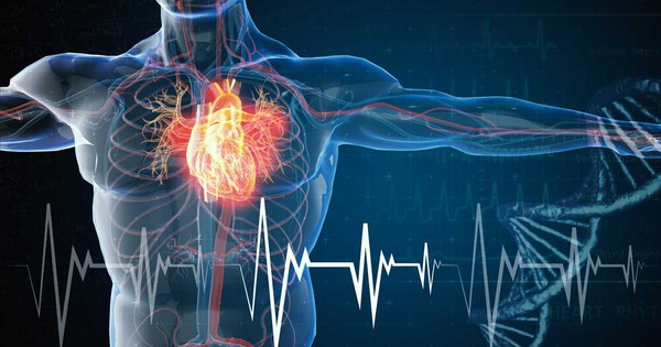 Suy tim có liên quan đến đau ngực không?
